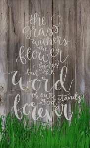 The+grass+withers+and+the+flowers+fade+but+the+Word+of+our+God+stands+forever+_+Hope+Ink+Art